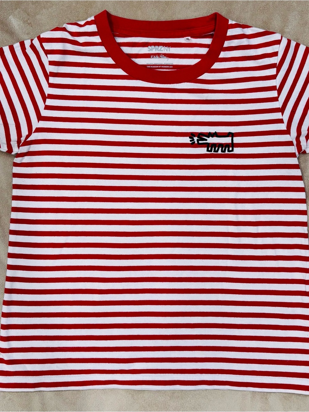 Striped Red & White Crewneck Tee with Embroidered Motif